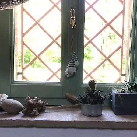 Casa Padronale - Delle Rondini Carignano