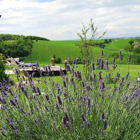 Casa Padronale - Delle Rondini * Carignano (Marche)
