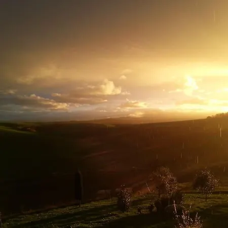 Дом отдыха Casa Padronale - Delle Rondini Carignano (Marche)