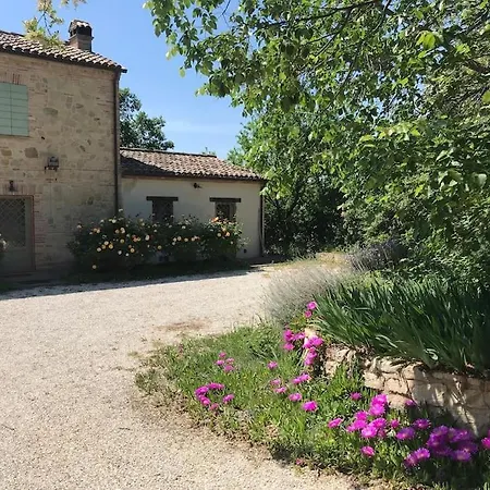 Casa Padronale - Delle Rondini * Carignano (Marche)