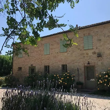 Casa Padronale - Delle Rondini Holiday home Carignano (Marche)
