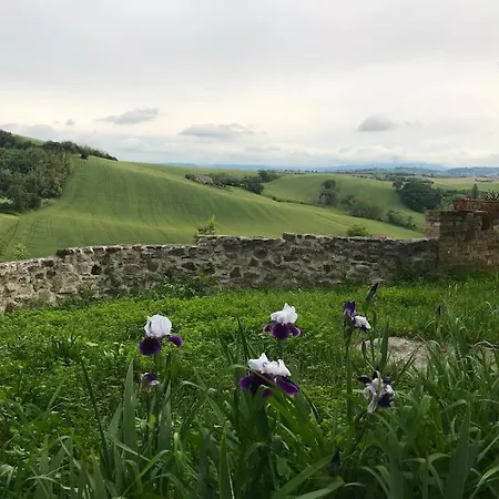 Casa Padronale - Delle Rondini Holiday home Carignano (Marche)