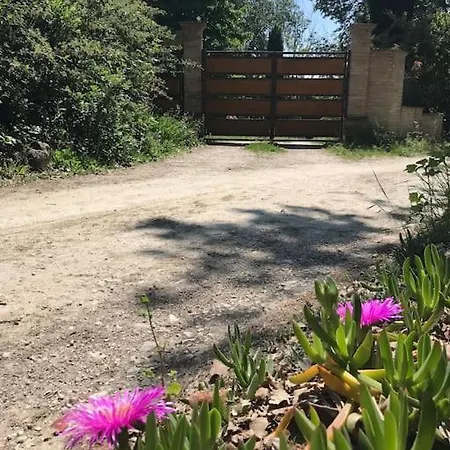 Casa Padronale - Delle Rondini Holiday home Carignano (Marche)