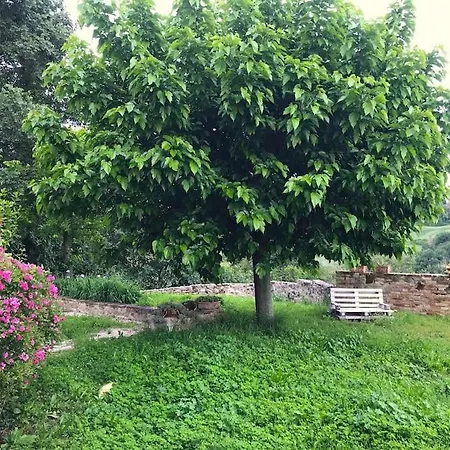 Casa Padronale - Delle Rondini * Carignano (Marche)