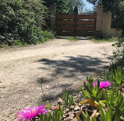 Casa Padronale - Delle Rondini 別荘 Carignano