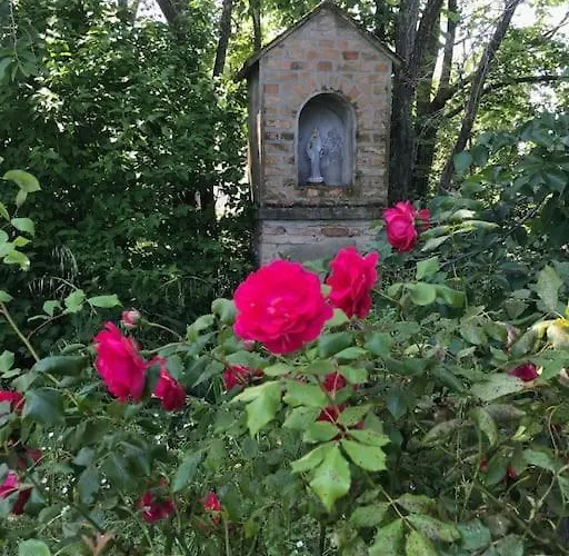 別荘 Casa Padronale - Delle Rondini Carignano