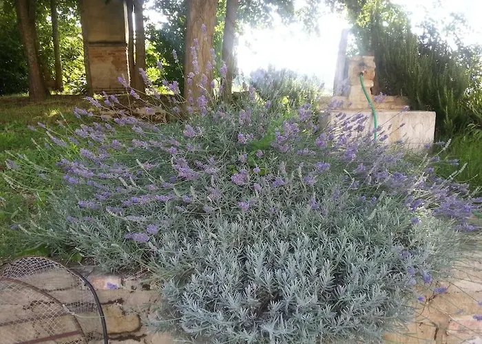 Casa Padronale - Delle Rondini * Carignano