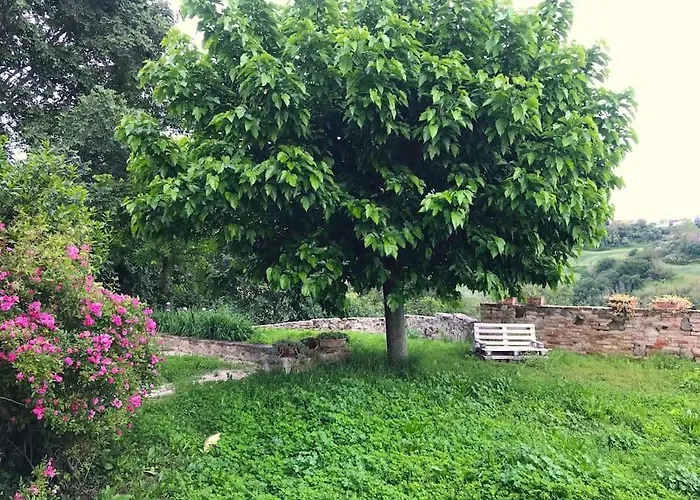 Casa Padronale - Delle Rondini * Carignano